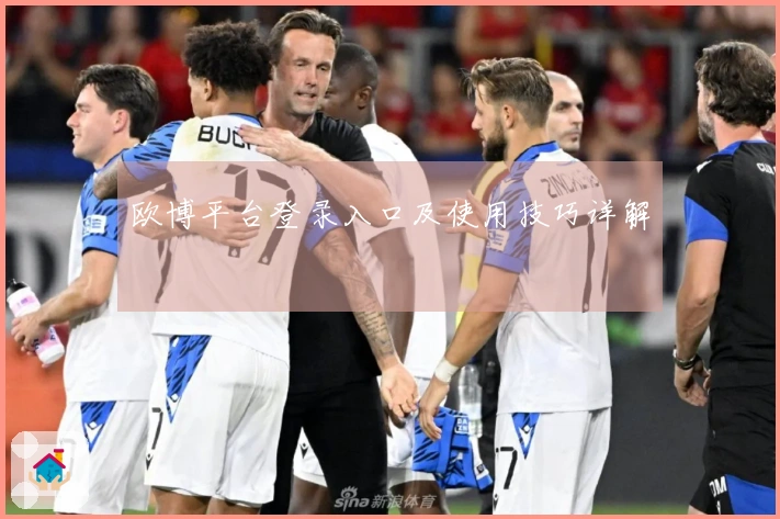 欧博平台登录入口及使用技巧详解
