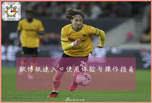 欧博极速入口使用体验与操作指南