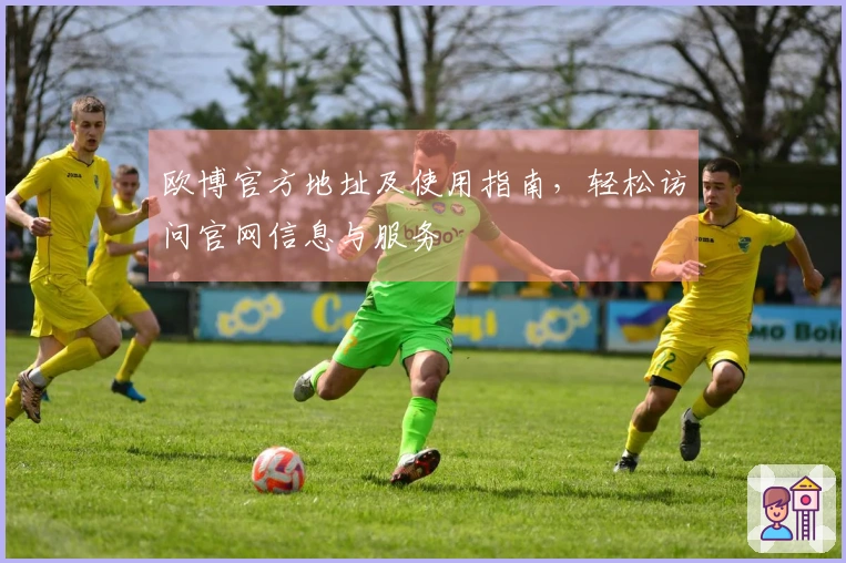 欧博官方地址及使用指南，轻松访问官网信息与服务