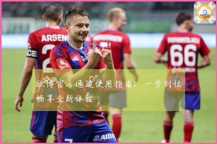 欧博官方通道使用指南：一步到位畅享全新体验