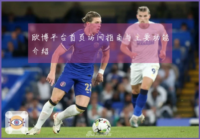 欧博平台首页访问指南与主要功能介绍