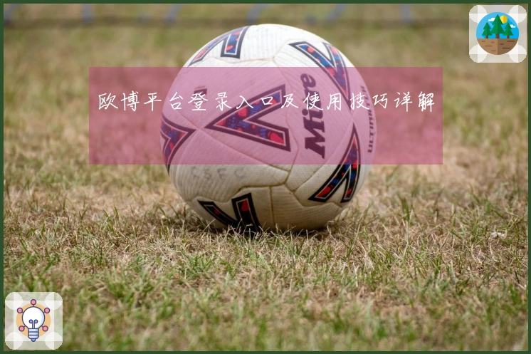 欧博平台登录入口及使用技巧详解