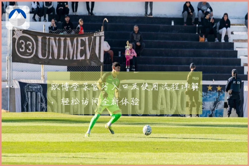 欧博登录官方入口及使用流程详解，轻松访问全新体验